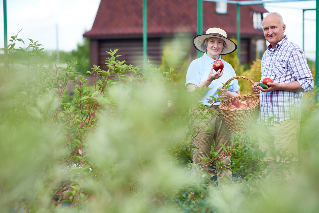Kosiarki do ogrodu – czy istnieją przeciwwskazania przed ich używaniem?